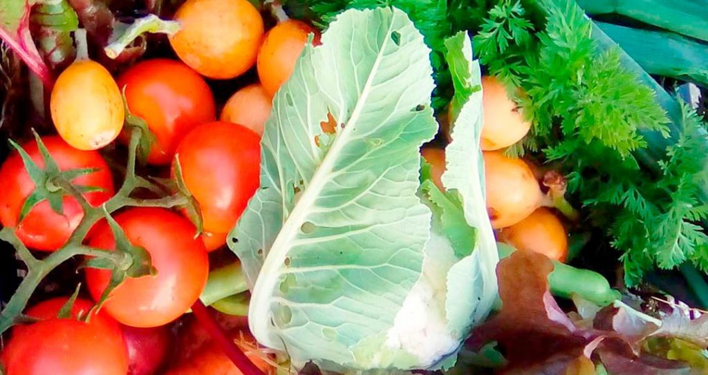 Nerja shopping - Ecological fruit and vegetable baskets